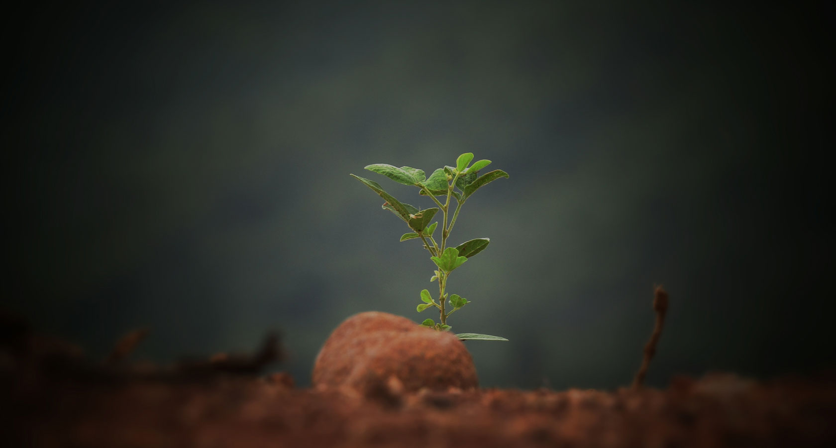 利来集团官网(W66)最给力的老牌